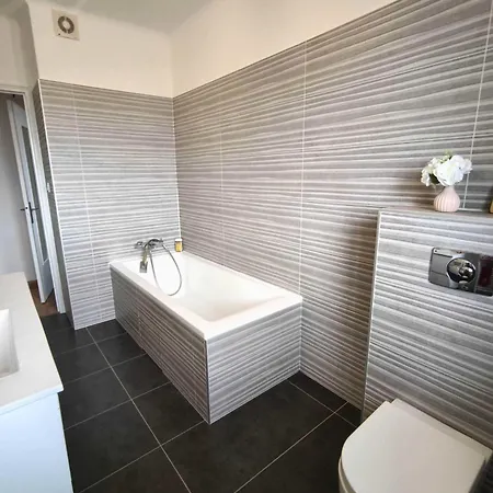 Charming T3 With Balconies In Apartman Ajaccio